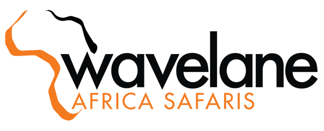 Wavelane African Safaris | Authentic African Safari Experiences